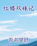红楼双姝记