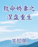 致命宠妻免费阅读全文