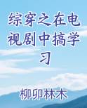 综穿之在电视剧中搞学习