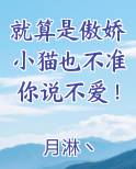 傲娇猫是什么意思