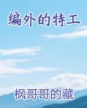 编外的特工