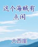 这个海贼有点闲