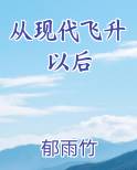 从现代飞升以后