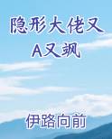 隐形大佬又a又飒小说