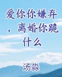 爱你你嫌弃，离婚你跪什么最新