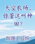 天空农场，你管这叫种田？笔趣阁免费阅读