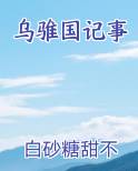乌国演义