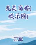 完美离婚[娱乐圈]