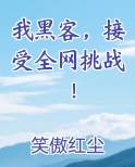 我黑客，接受全网挑战！小说5200
