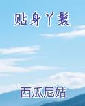 贴身丫鬟