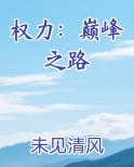 权力：巅峰之路