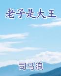 老子是大王免费阅读