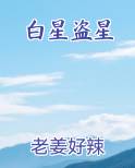 白星盗星小说下载